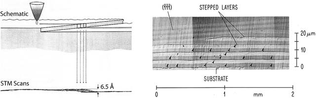 STM-Schematic, STM-Scan