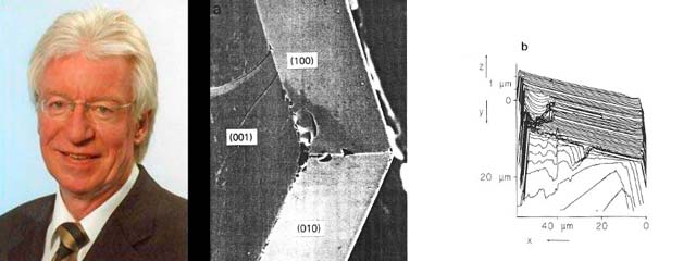 Prof. Heiner Müller-Krumbhaar - LEG-mechanism-SEM&STM